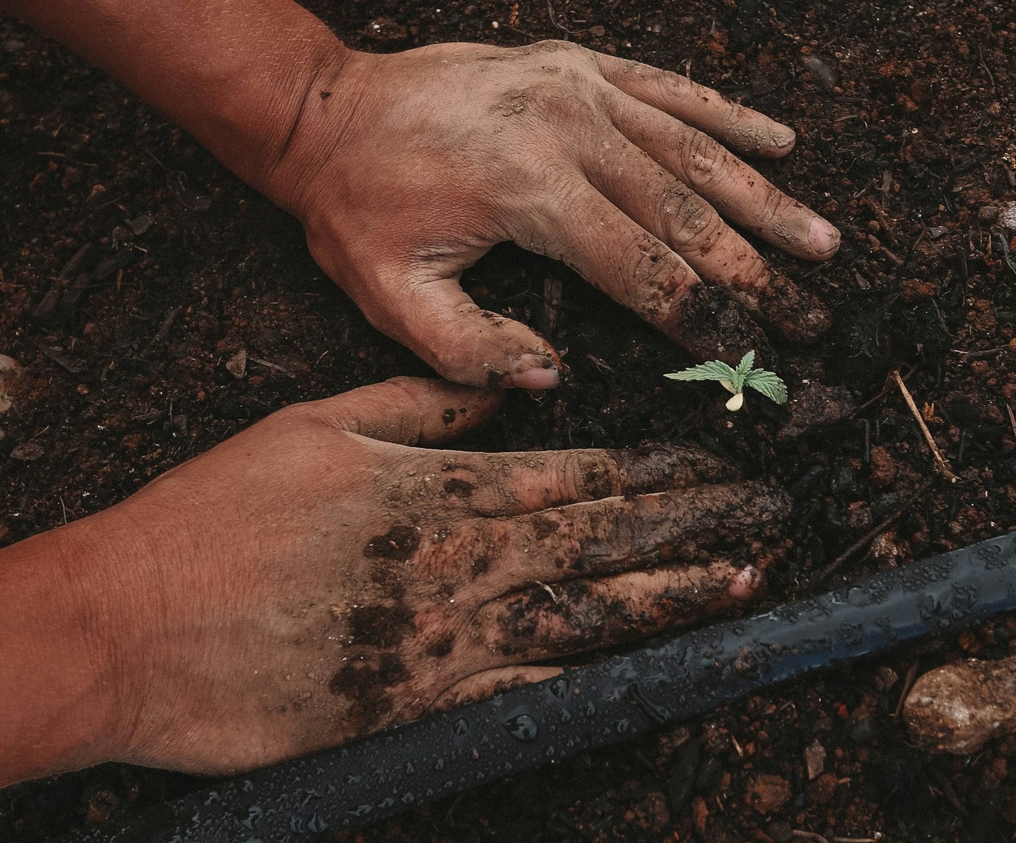 Why Our Community Conservation Efforts Matter